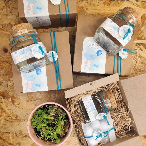 bomboniere semi da piantare battesimo bimbo ecofattoart